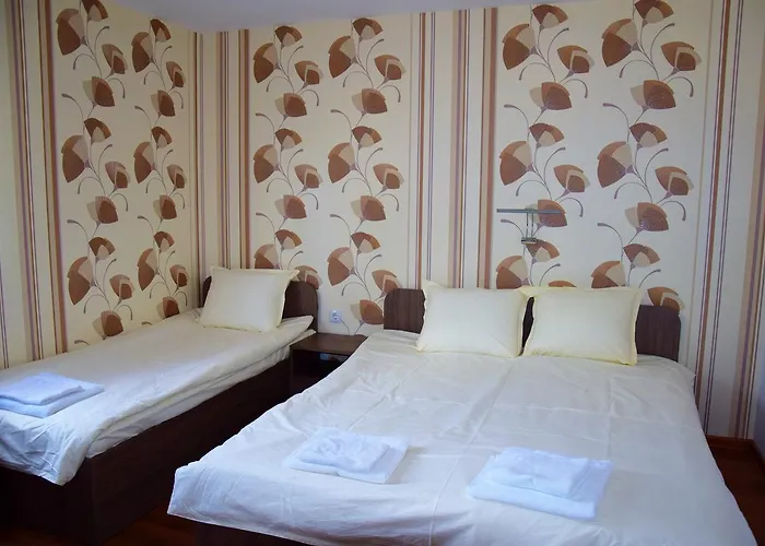 Tri Buki Guest house *